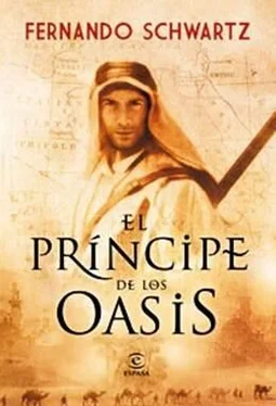 Fernando Schwartz El príncipe de los oasis обложка книги