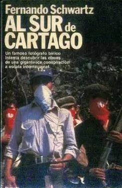 Fernando Schwartz Al sur de Cartago обложка книги