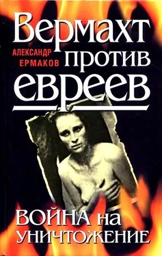 Александр Ермаков. Вермахт против евреев. Война на уничтожение обложка книги