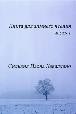 Сильвия Каваллано Книга для зимнего чтения обложка книги