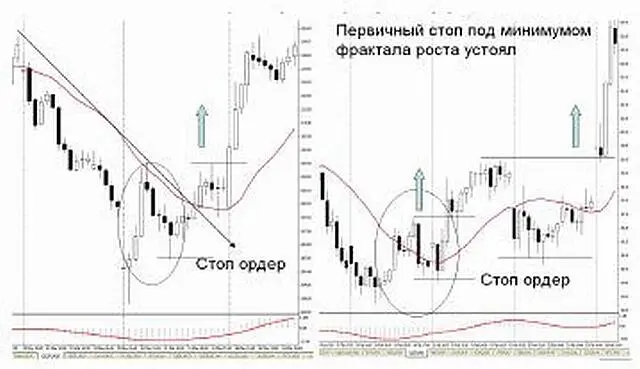 Z фрактал прекрасная миниатюра на тему излюбленного поведения рынка импульс - фото 45
