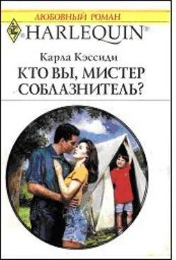 Карла Кэссиди Кто вы, мистер соблазнитель? обложка книги