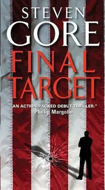 Steven Gore Final Target обложка книги