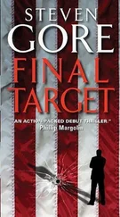 Steven Gore - Final Target