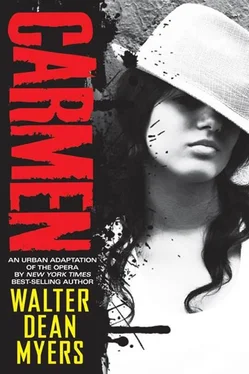 Walter Myers Carmen обложка книги