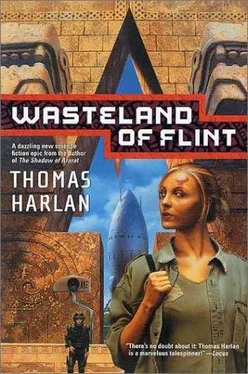 Thomas Harlan Wasteland of flint обложка книги