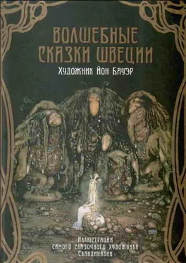 Ольга Мяэотс Волшебные сказки Швеции (илл. Йона Бауэра) обложка книги