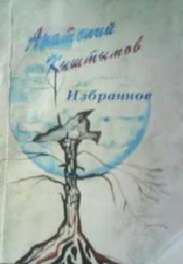 Анатолий Кыштымов Стихи обложка книги