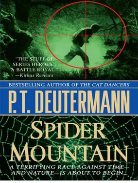 P Deutermann Spider mountain обложка книги