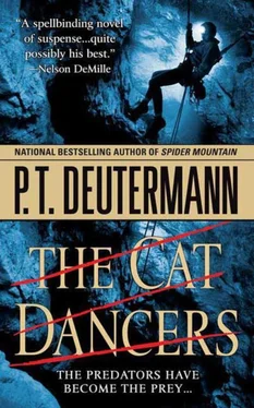 P Deutermann The Cat Dancers обложка книги