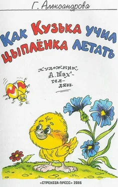 Галина Александрова Как Кузька учил цыпленка летать обложка книги