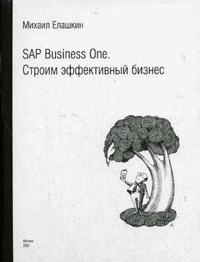 Михаил Елашкин SAP Business One. Строим эффективный бизнес обложка книги