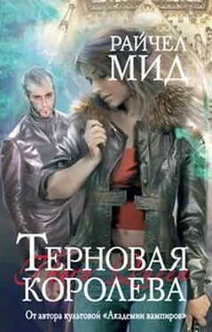 Райчел Мид Терновая королева обложка книги