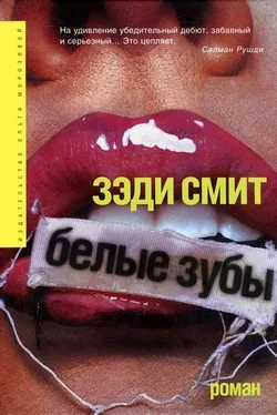 Зэди Смит Белые зубы обложка книги