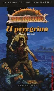 Simon Hawke El peregrino обложка книги