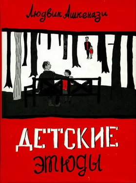 Людвик Ашкенази Детские этюды обложка книги