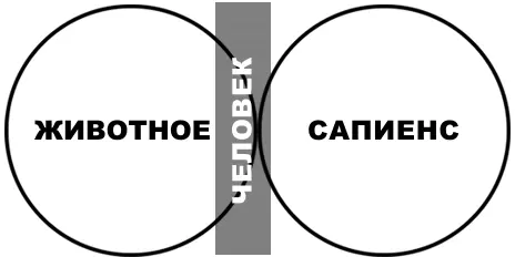 Лирическое дополнение Я не могу следовать за Буддой я должен быть сам по - фото 3