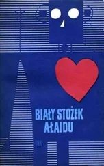 Arkadij Strugacki - Biały stożek Ałaidu