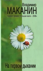 Владимир Маканин - Валечка Чекина