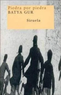 Batya Gur Piedra por piedra обложка книги