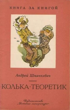 Андрей Шманкевич Колька-теоретик обложка книги