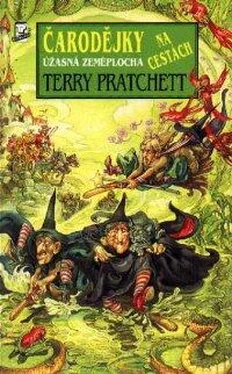 Terry Pratchett Čarodějky na cestách обложка книги