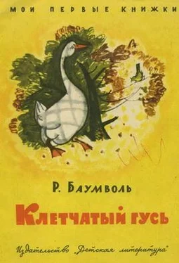 Рахиль Баумволь Клетчатый гусь обложка книги