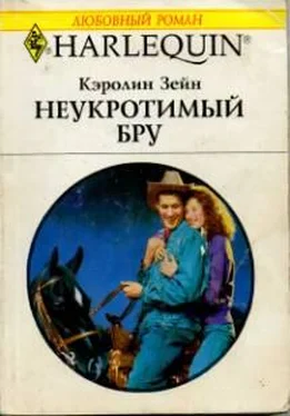 Кэролин Зейн Неукротимый Бру обложка книги