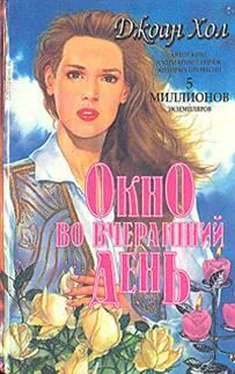 Джоан Хол Окно во вчерашний день обложка книги