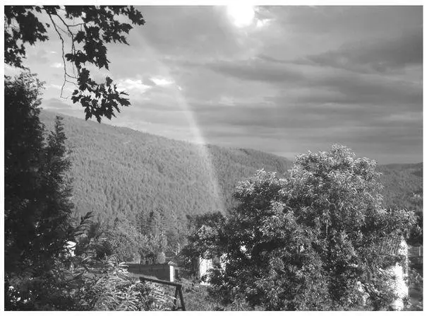 1 The vast chestnut forests seen from Ponteils the mountainous Cevennes - фото 7