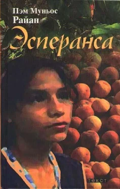 Пэм Райан Эсперанса обложка книги