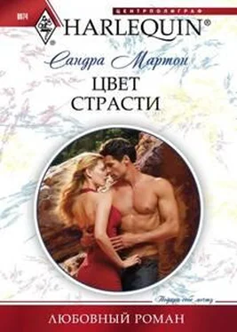 Сандра Мартон Цвет страсти обложка книги