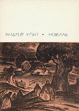 Андрей Упит Ивняк обложка книги