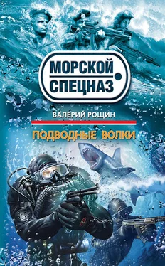 Валерий Рощин Подводные волки обложка книги