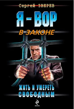 Сергей Зверев Жить и умереть свободным обложка книги