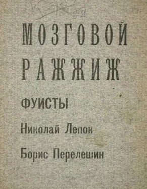 Борис Перелешин Мозговой ражжиж обложка книги