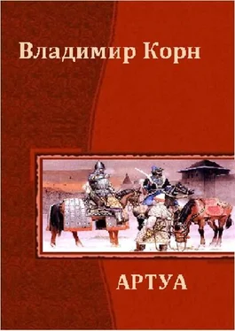 Владимир Корн Артуа обложка книги