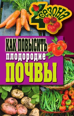 Светлана Хворостухина Как повысить плодородие почвы обложка книги