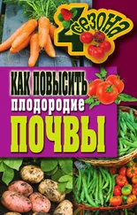 Светлана Хворостухина - Как повысить плодородие почвы