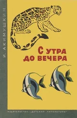 Игорь Акимушкин - С утра до вечера