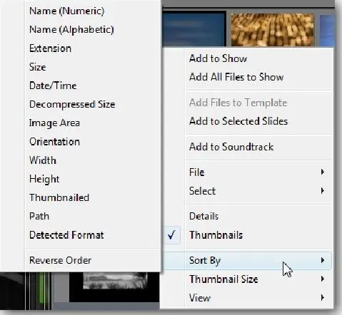 Внизу меню Вы увидите четыре опции Details ThumbnailsДетали Миниатюры - фото 26