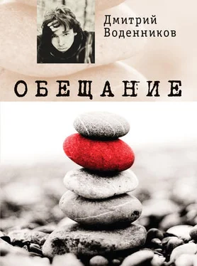 Дмитрий Воденников Обещание обложка книги