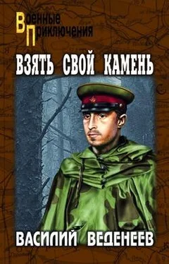 Василий Веденеев Взять свой камень обложка книги