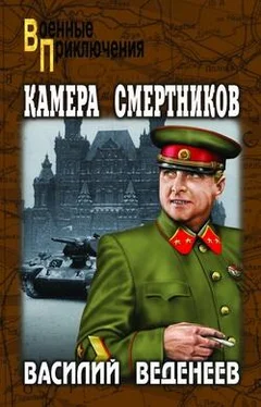 Василий Веденеев Камера смертников обложка книги