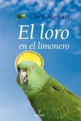 Chris Stewart - El loro en el limonero
