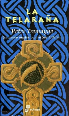 Peter Tremayne La Telaraña обложка книги