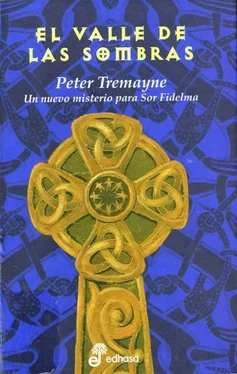 Peter Tremayne El Valle De Las Sombras обложка книги