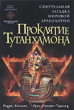 Эндрю Коллинз Проклятие Тутанхамона обложка книги