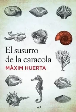 Maxim Huerta El susurro de la caracola обложка книги
