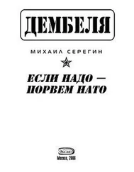 Михаил Серегин - Если надо-порвем НАТО